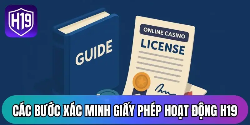 Các bước xác minh giấy phép hoạt động H19