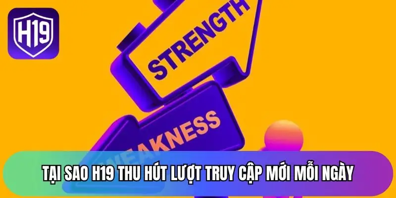 Tại sao trang chủ H19 thu hút lượt truy cập mới mỗi ngày